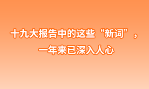十九大報告中的這些“新詞”， 一年來已深入人心