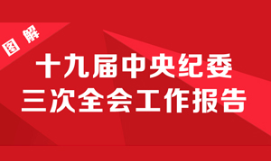 圖解十九屆中央紀委三次全會工作報告