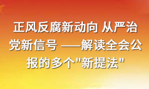 正風反腐新動向 從嚴治黨新信號 ——解讀全會公報的多個"新提法"