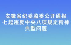 安徽省紀委監委公開通報七起違反中央八項規定精神典型問題