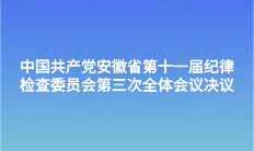 中國共產黨安徽省第十一屆紀律檢查委員會第三次全體會議決議
