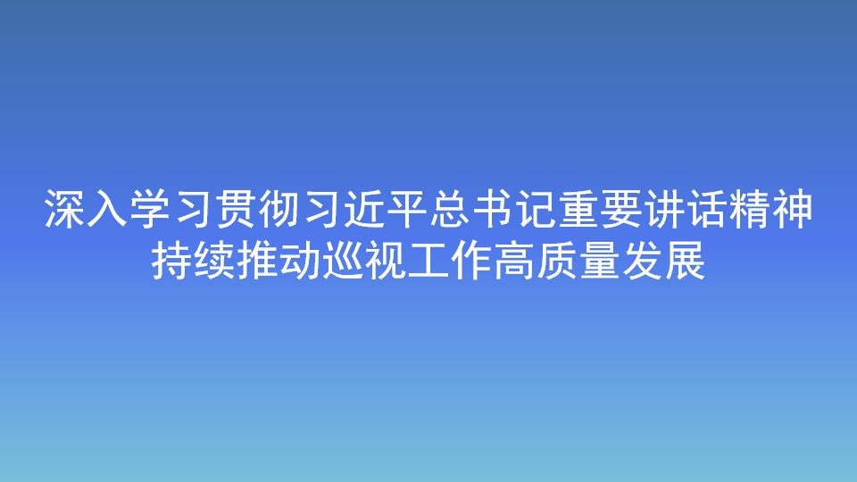 深入學習貫徹習近平總書記重要講話精神 持續推動巡視工作高質量發展